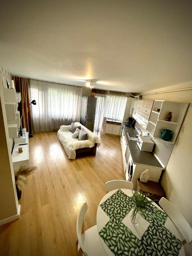 Mio Apartments Silver Cluj-Napoca Extérieur photo